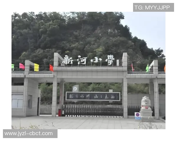 赵伟专访：从青涩少年到乒乓球冠军的奋斗与成长之路